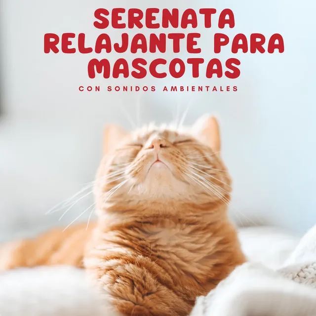 Serenata Relajante Para Mascotas Con Sonidos Ambientales