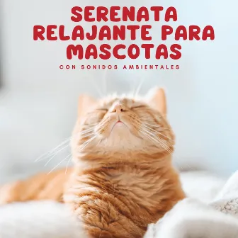 Serenata Relajante Para Mascotas Con Sonidos Ambientales by Jazz instrumental tranquilo