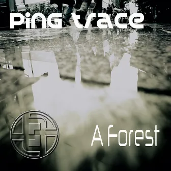 A Forest by Ping Trace