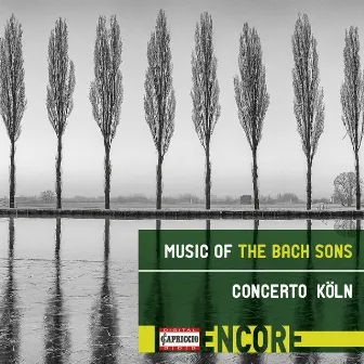 Music of the Bach Sons by Werner Ehrhardt