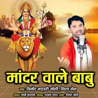 Mandar Wale Babu by Vinod Bhaddri Joshi