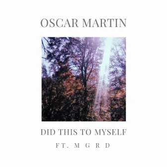 Did This To Myself by Oscar Martin