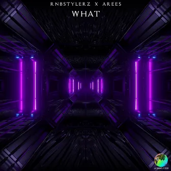 WHAT (Extended Mix) by AREES