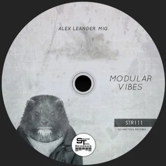 Modular Vibes by Alex Leander