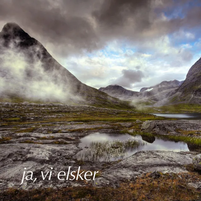 Sønner av Norge