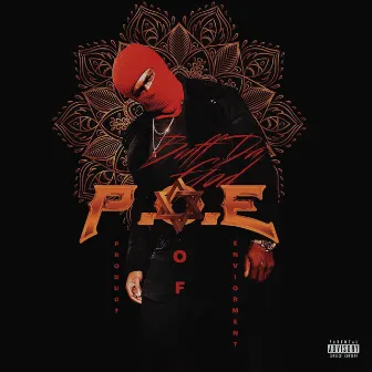 P.O.E by Unknown Artist