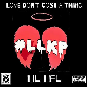 Love Don't Cost A Thing by Liel Vandross