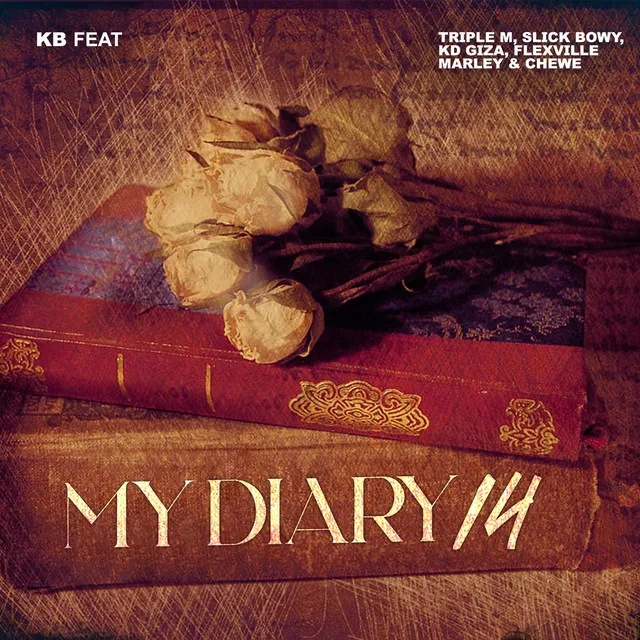 My Diary 14