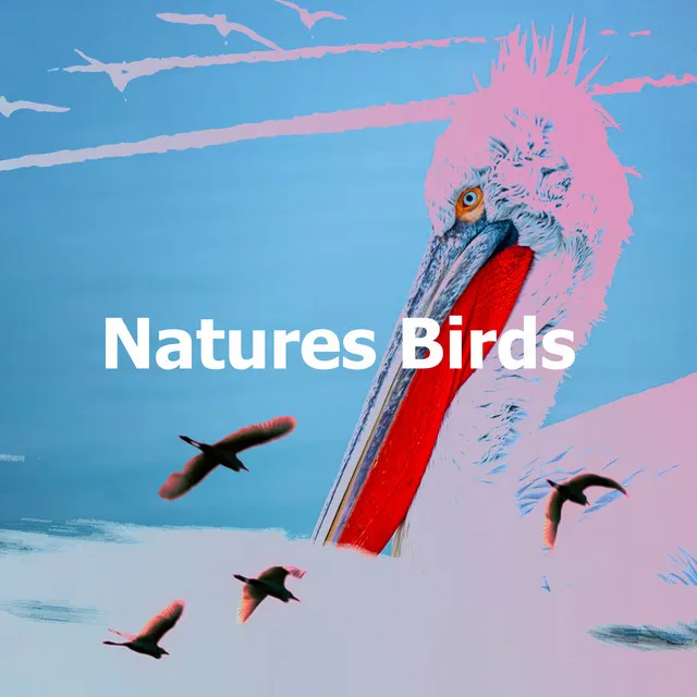 Natures Birds