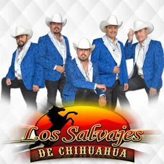 Te Estaré Esperando by Los Salvajes De Chihuahua