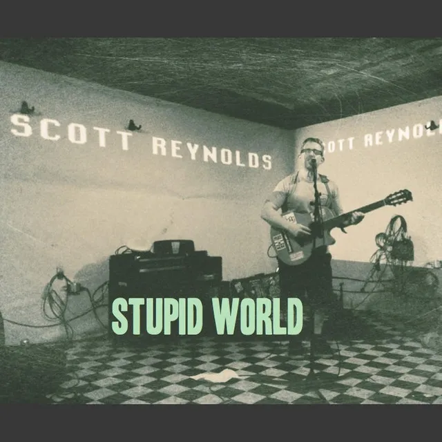 Stupid World