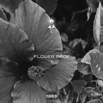 Flower Pack 1 by Bridget Perez