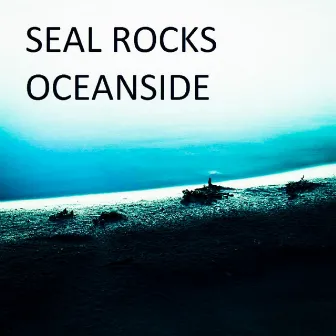 Oceanside by Seal Rocks