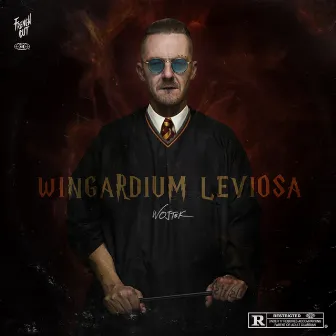 Wingardium leviosa by Wojtek