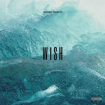 Wish by Danny Darco