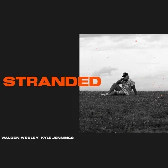 STRANDED by Walden Wesley