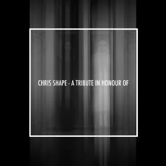 TRIBUTE IN HONOUR OF by Chris Shape