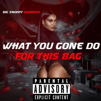 What You Gone Do For This Bag by Big Snoopy Barbosa