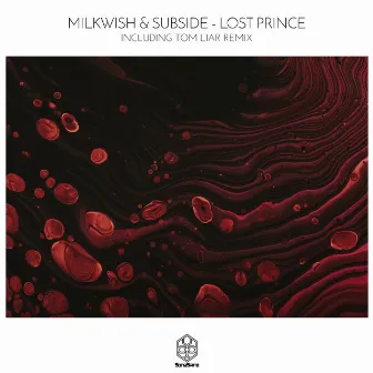 Lost Prince by Milkwish