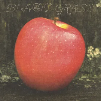 Black Grass by Little Wings