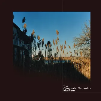 Ma Fleur by The Cinematic Orchestra