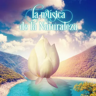 La Música de la Naturaleza - Música New Age para la Relajación, Masaje Shiatsu, Meditar con Sonidos de la Naturaleza, Energía Positiva para Controlar la Ansiedad, Sonidos del Mar para Dormir, Masoterapia by Academia de Sonidos de la Naturaleza para el Masaje