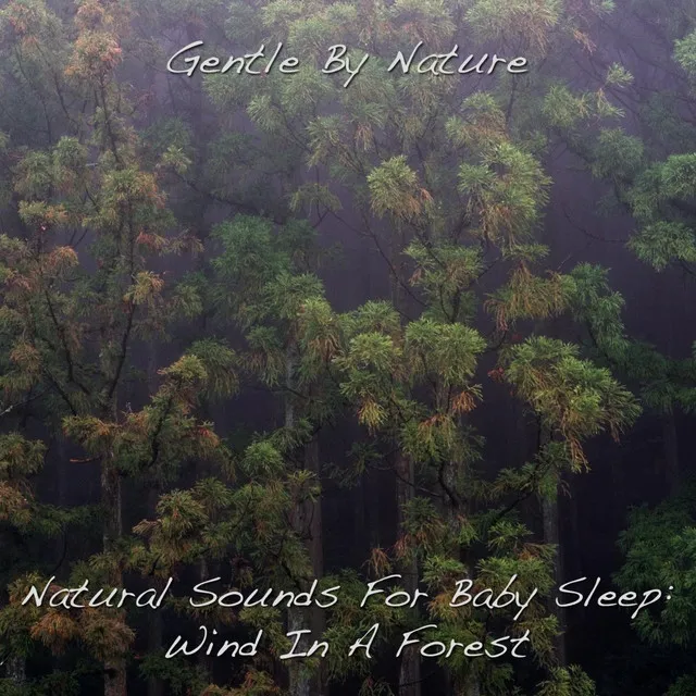 Natural Sounds for Baby Sleep: Wind in a Forest