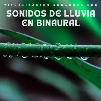 Visualización Soñadora Con Sonidos De Lluvia En Binaural by Surfistas Del Sueño