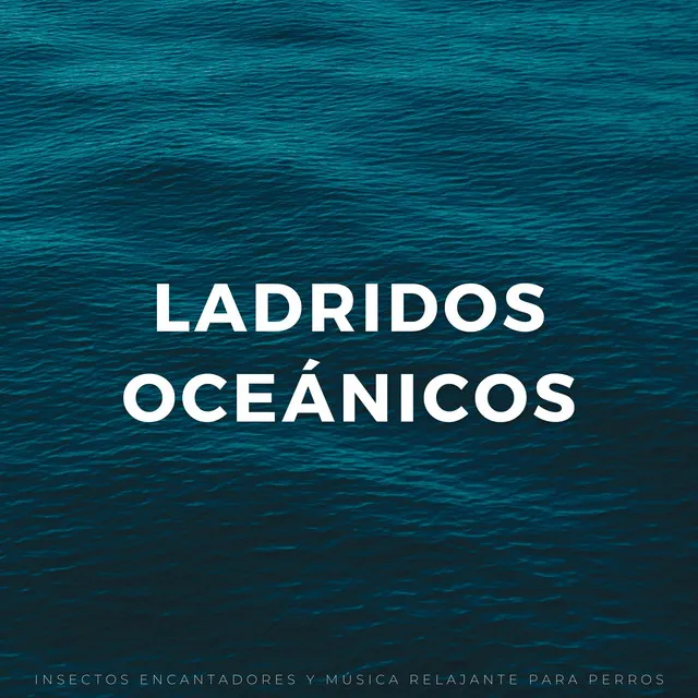 Colas Oceánicas Tranquilas