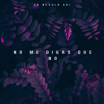 No me digas que no by La Nevula Musik