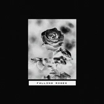 falling roses by Aidan