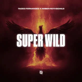 Super Wild by Amber Rothschild