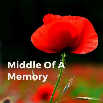 Middle of a Memory by Sabado Playground