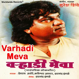 Varhadi Meva by Dayanand Ingde