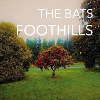 Foothills by The Bats