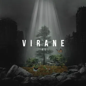 Virane by ATE