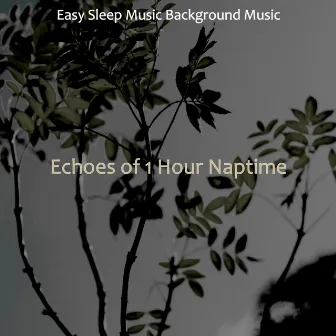 Echoes of 1 Hour Naptime by Unknown Artist