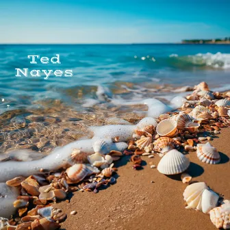 Chilled Summer Swing: Warm Summer Nights and Coastal Escapes by Ted Nayes