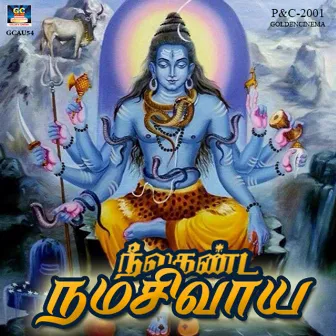 Nelaganda Namasivaya by Valapakudi Virashankar