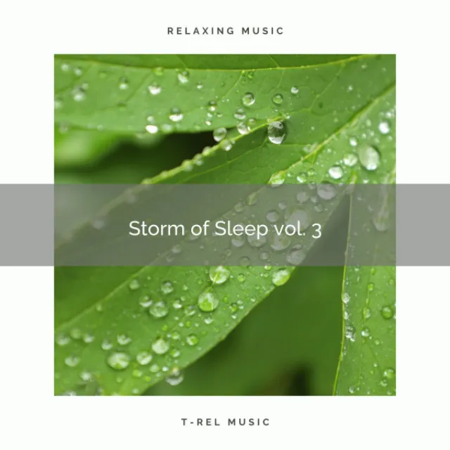 Calming Rain Music for Perfect Relax pt. 7