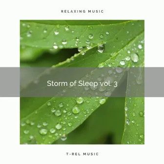 Storm of Sleep vol. 3 by cloudcity