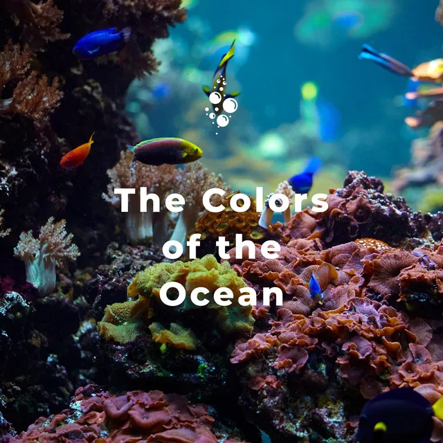 The Colors of the Ocean