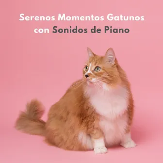 Serenos Momentos Gatunos Con Sonidos De Piano by Experiencia de piano y olas oceánicas