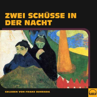 Zwei Schüsse in der Nacht by Anonym