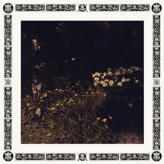 Pale Bloom by Sarah Davachi