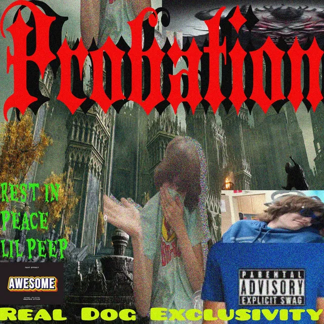 Probation