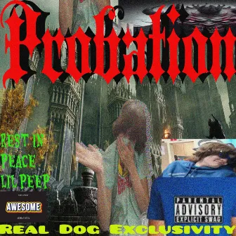 Probation by Real Dog