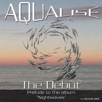 The Debut by Aqualise