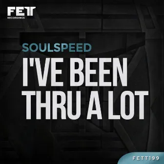 I've Been Thru A Lot by Soulspeed