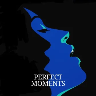 Perfect Moments by Tadao Hayashi Harp Trio